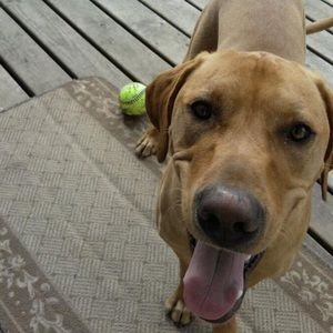 Meet your Posher, Alicia